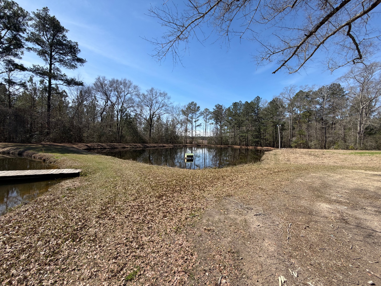 366 Marie Drive