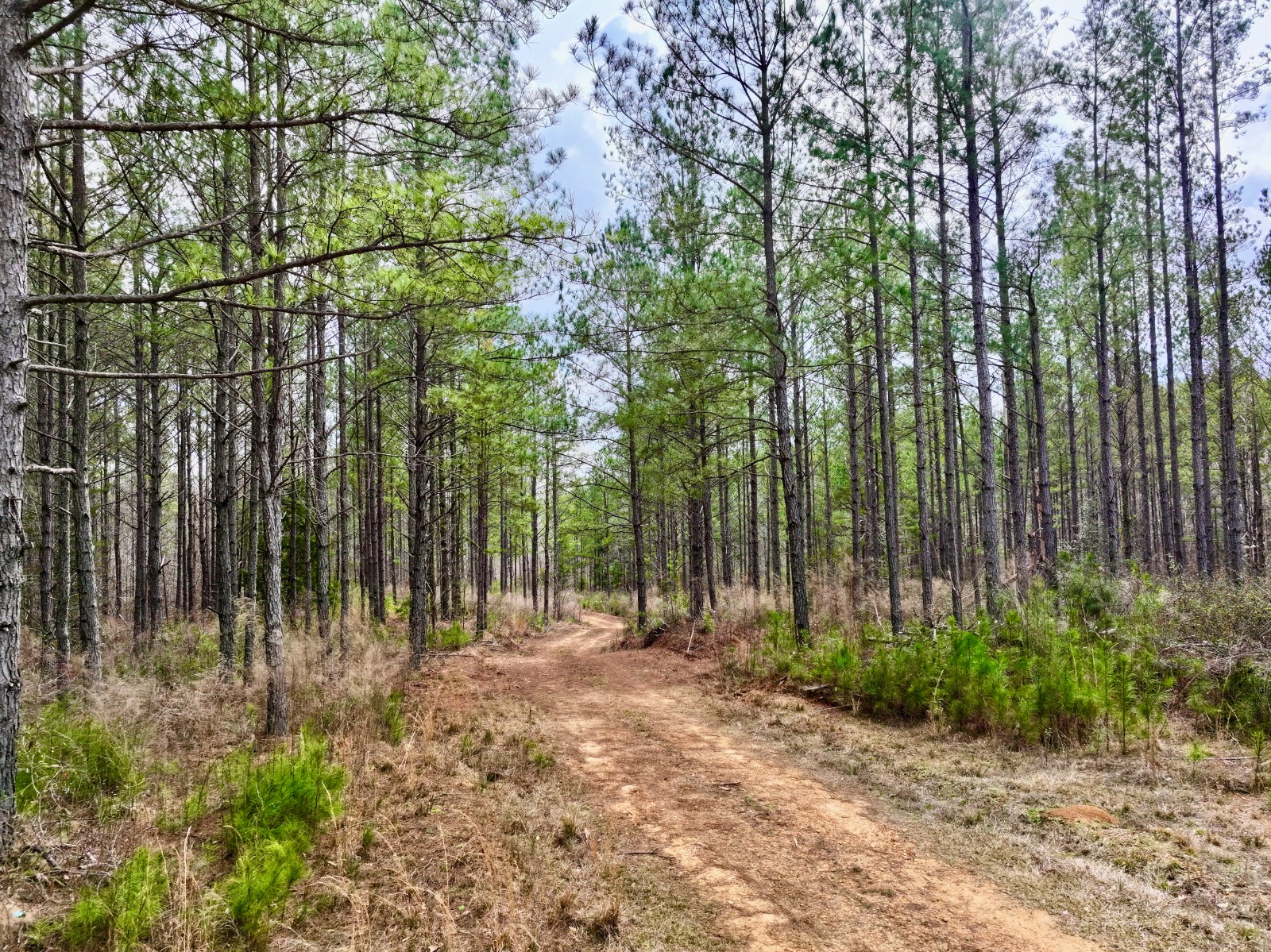 3613 Old Line Road