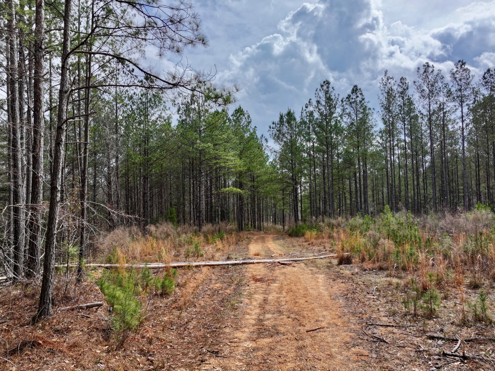 3613 Old Line Road