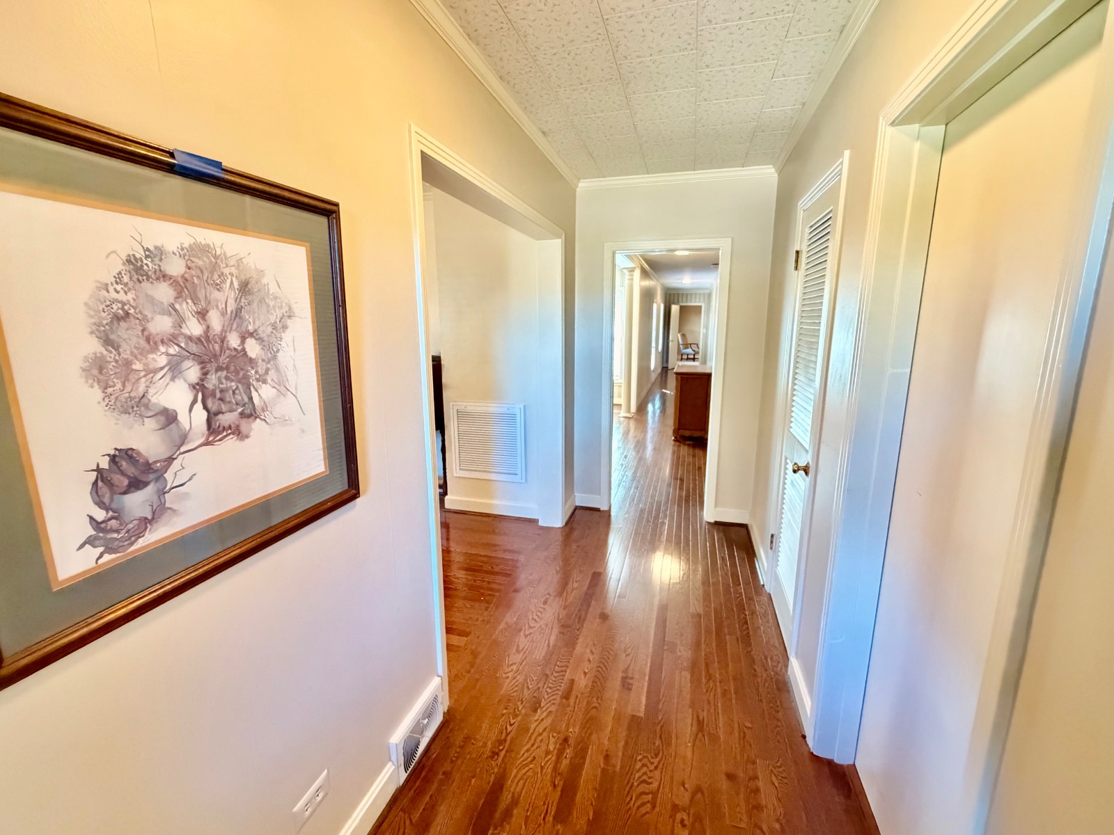 211 Chesley Ave