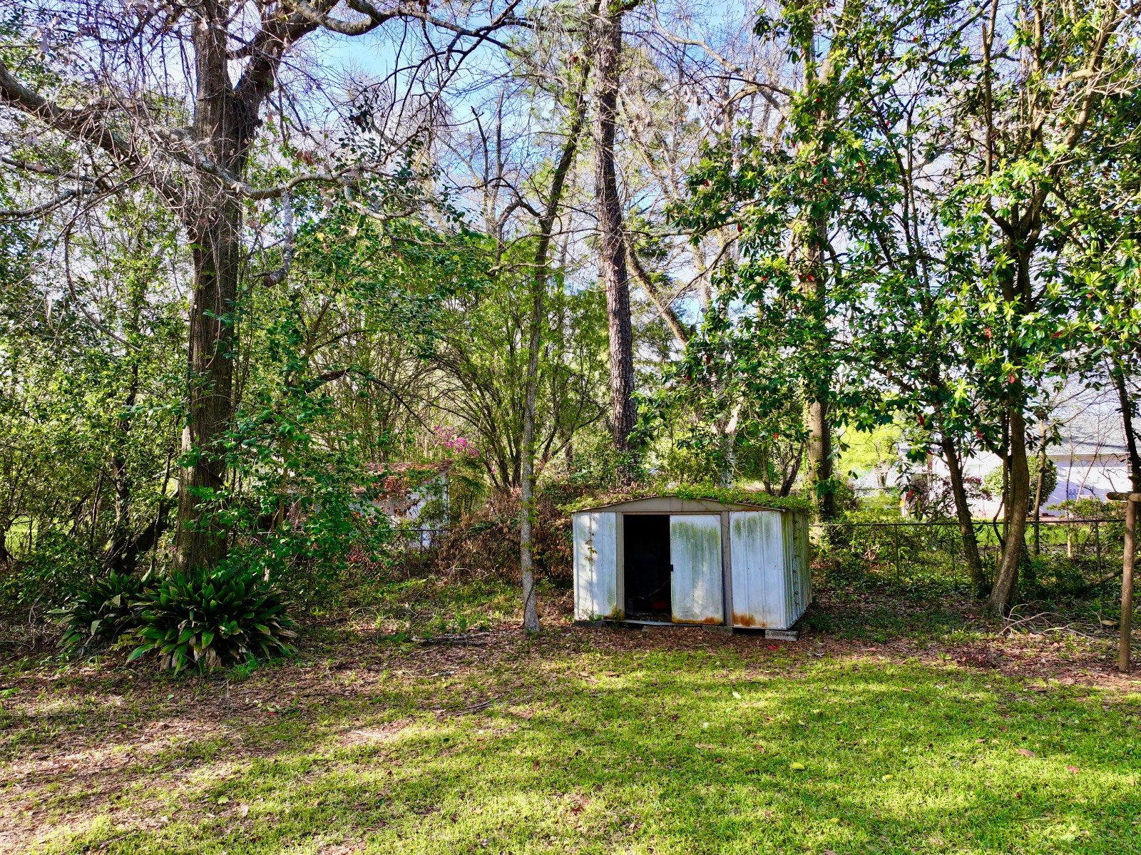 211 Chesley Ave