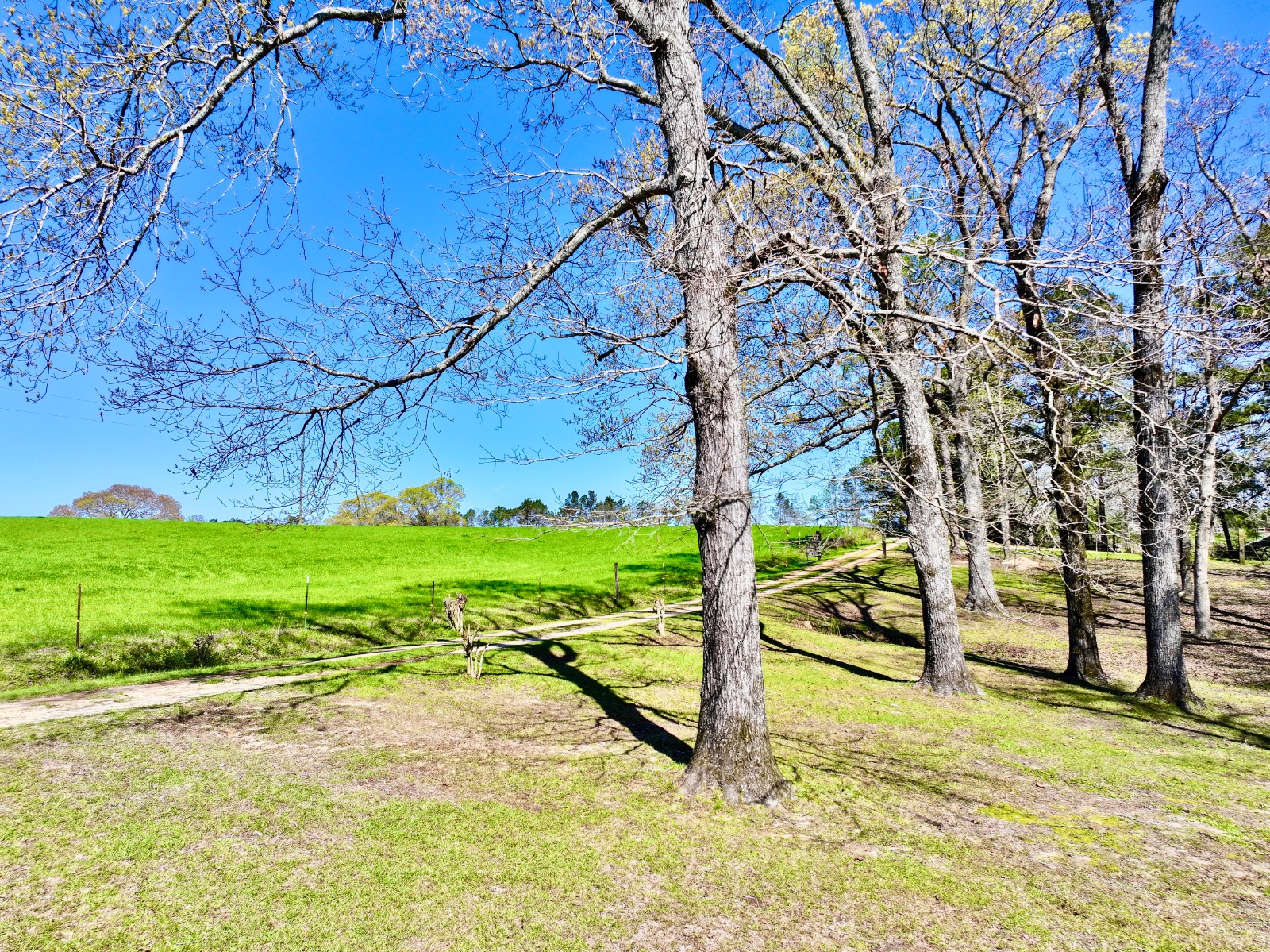 9538 Nathan Jordan Road