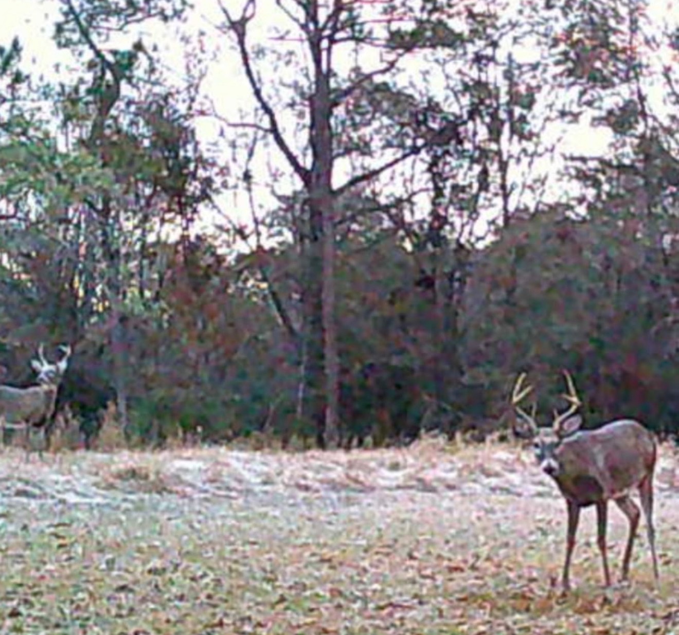 9538 Nathan Jordan Road