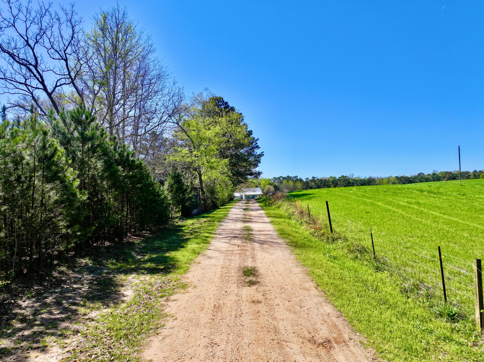 9538 Nathan Jordan Road