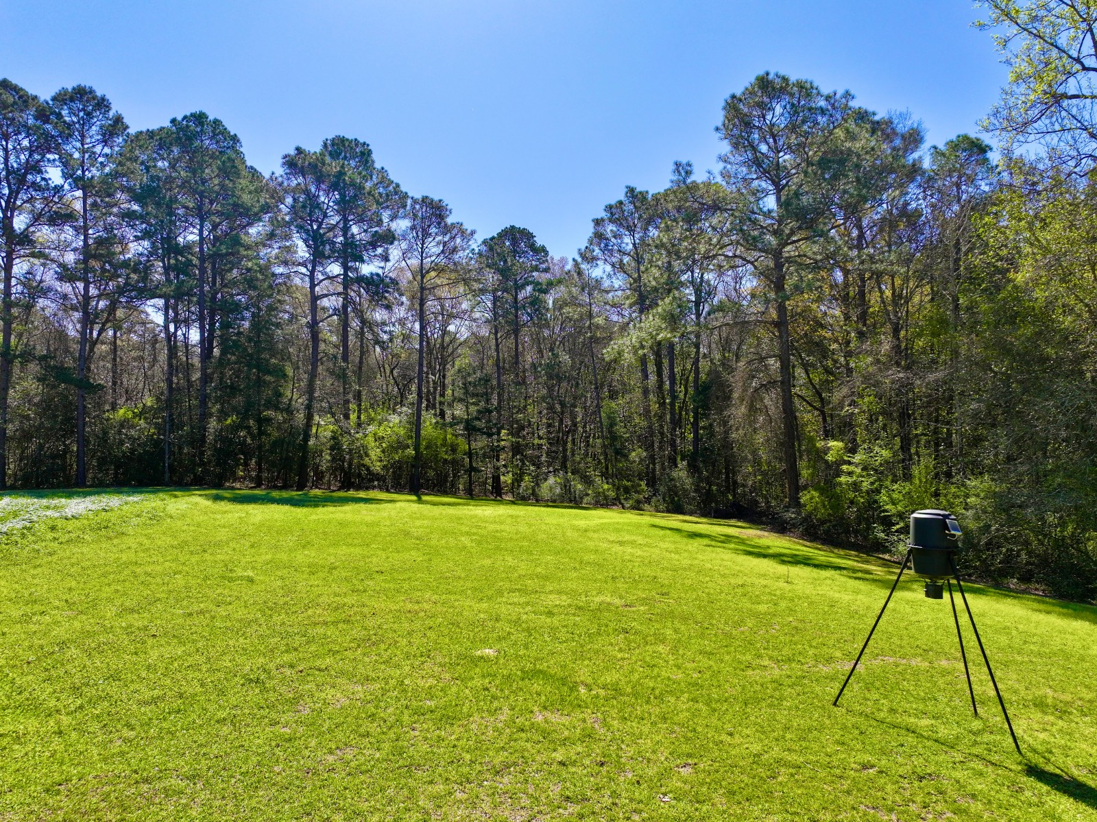 9538 Nathan Jordan Road