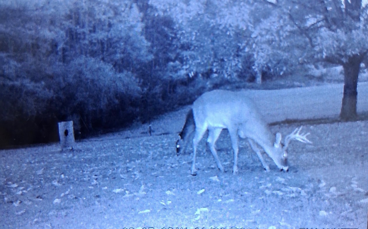 9538 Nathan Jordan Road