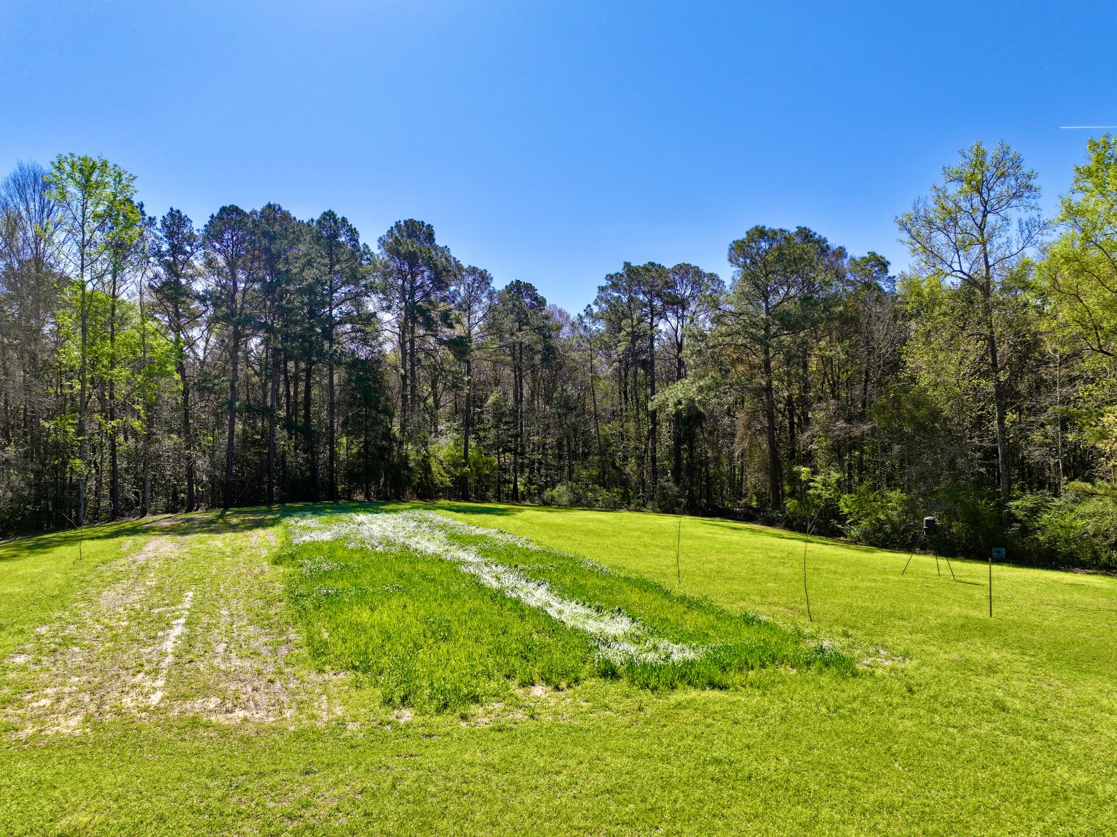 9538 Nathan Jordan Road