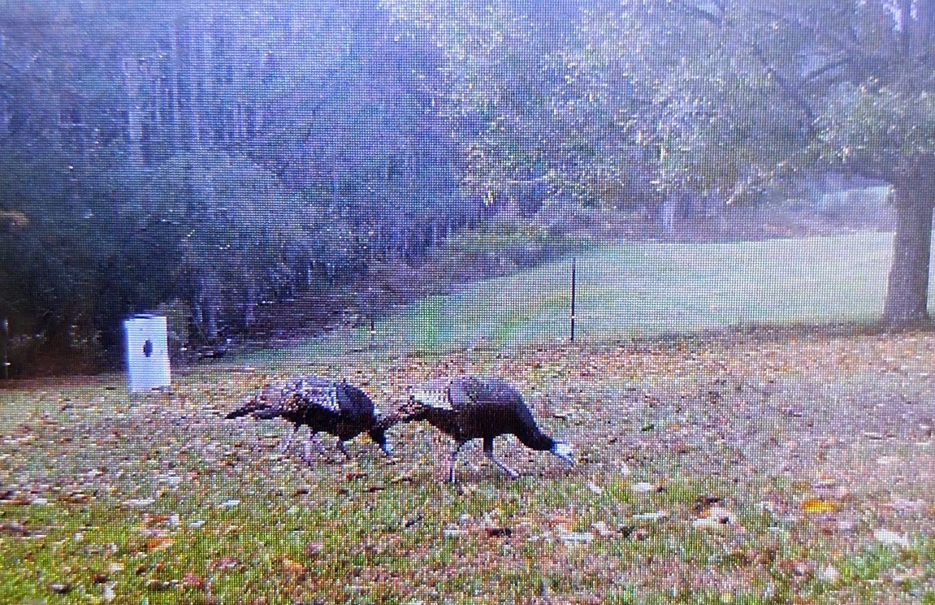 9538 Nathan Jordan Road