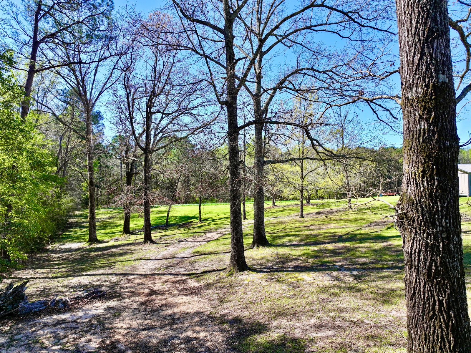 9538 Nathan Jordan Road