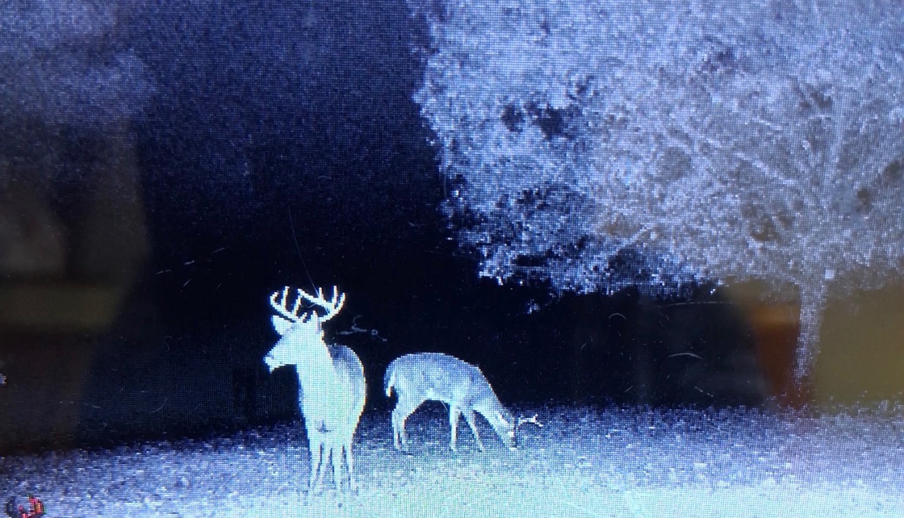 9538 Nathan Jordan Road