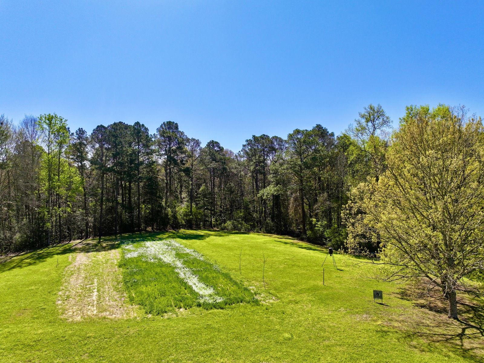 9538 Nathan Jordan Road