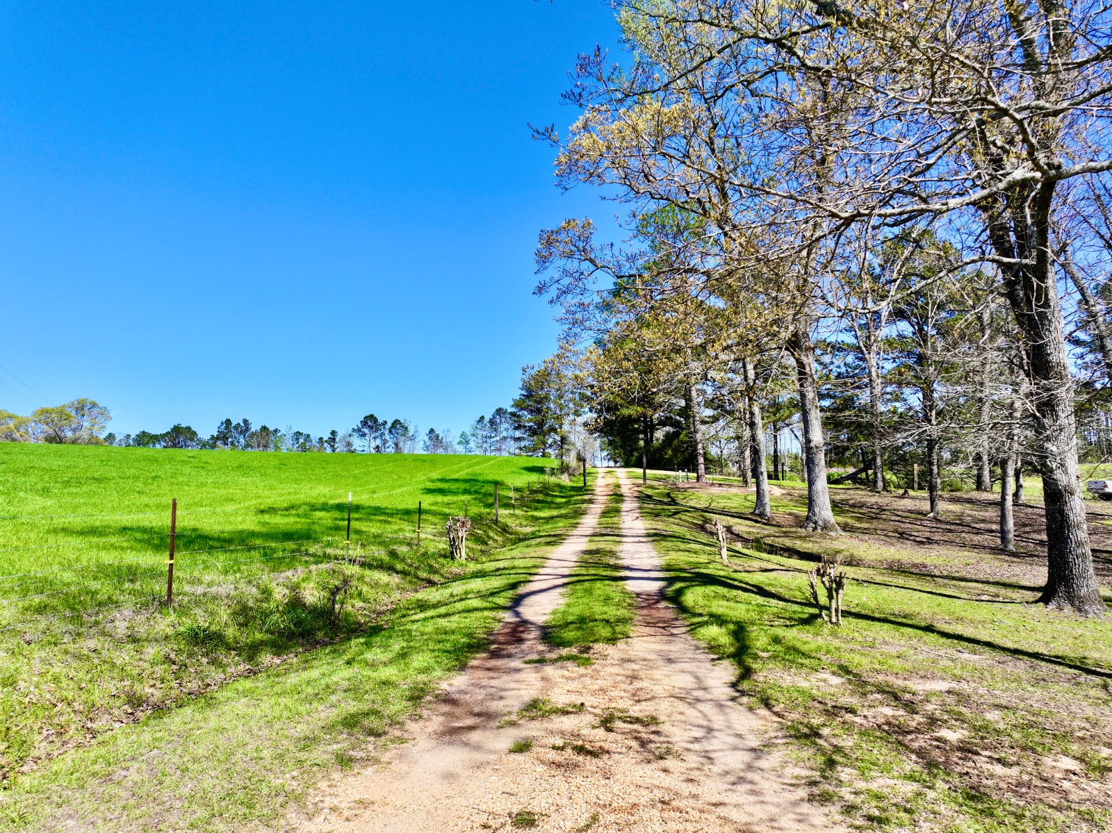 9538 Nathan Jordan Road