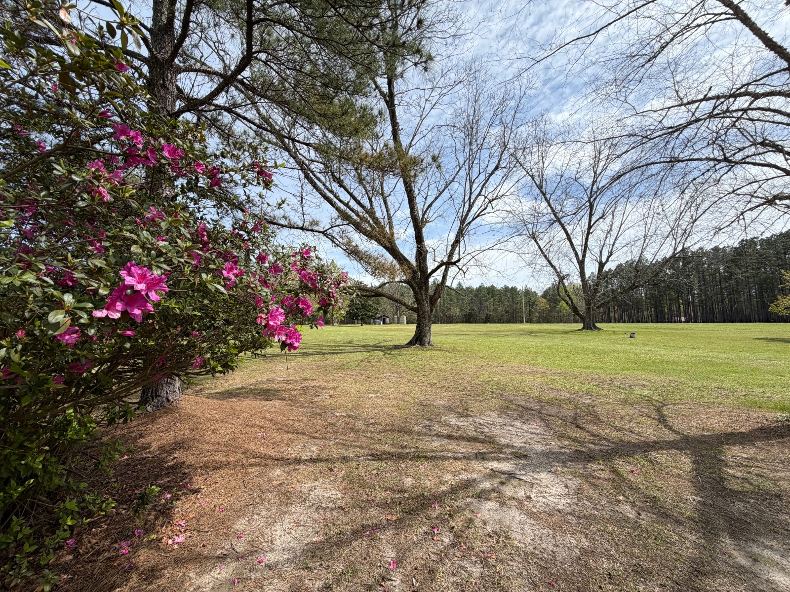 11648 County Road 1