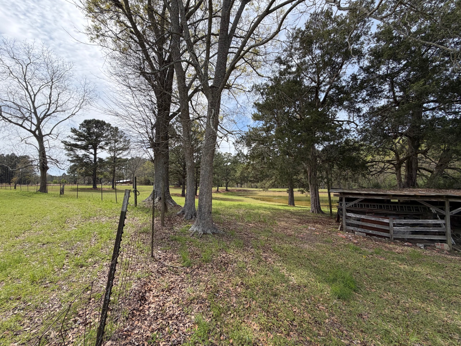 11648 County Road 1