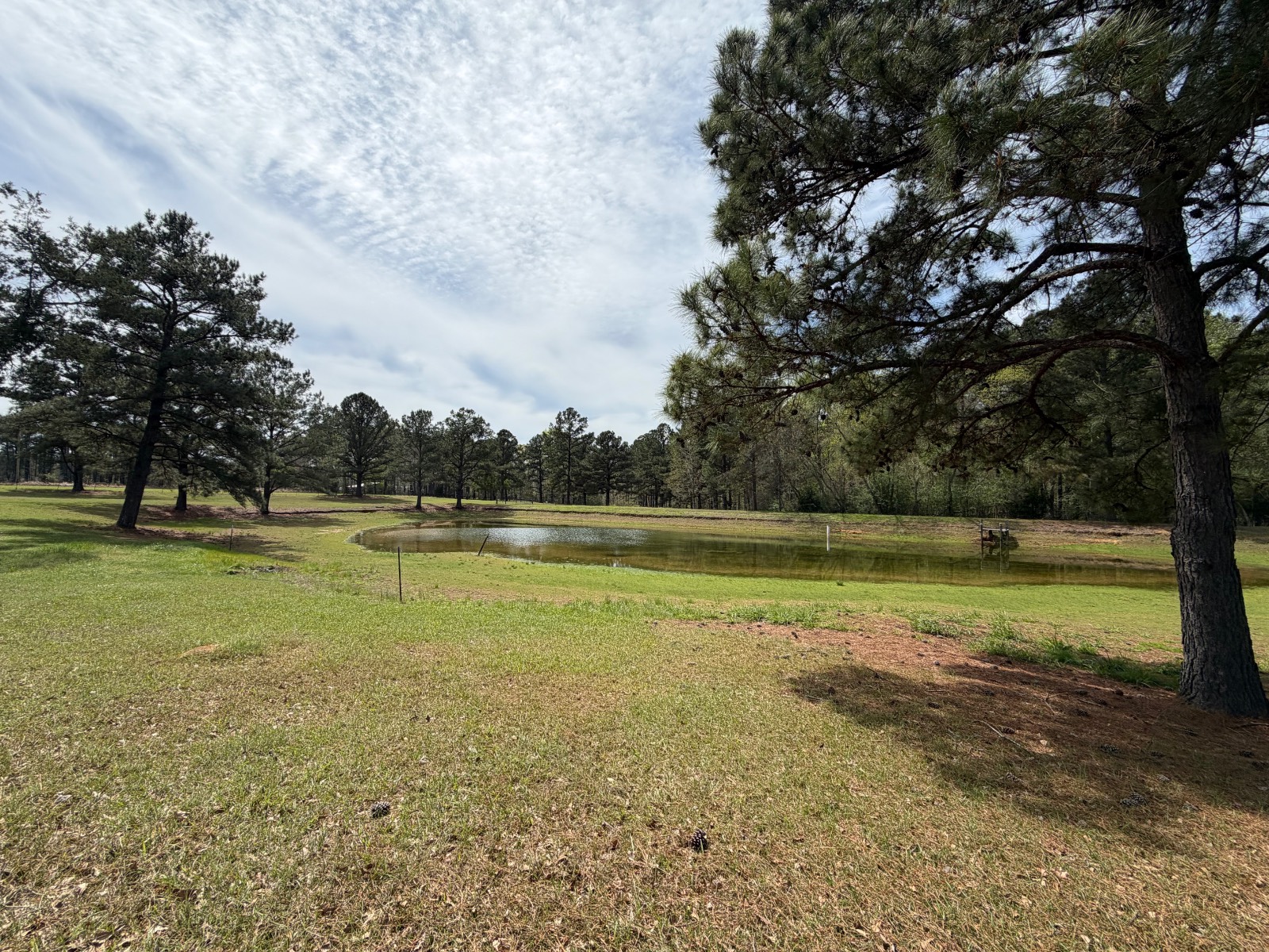11648 County Road 1