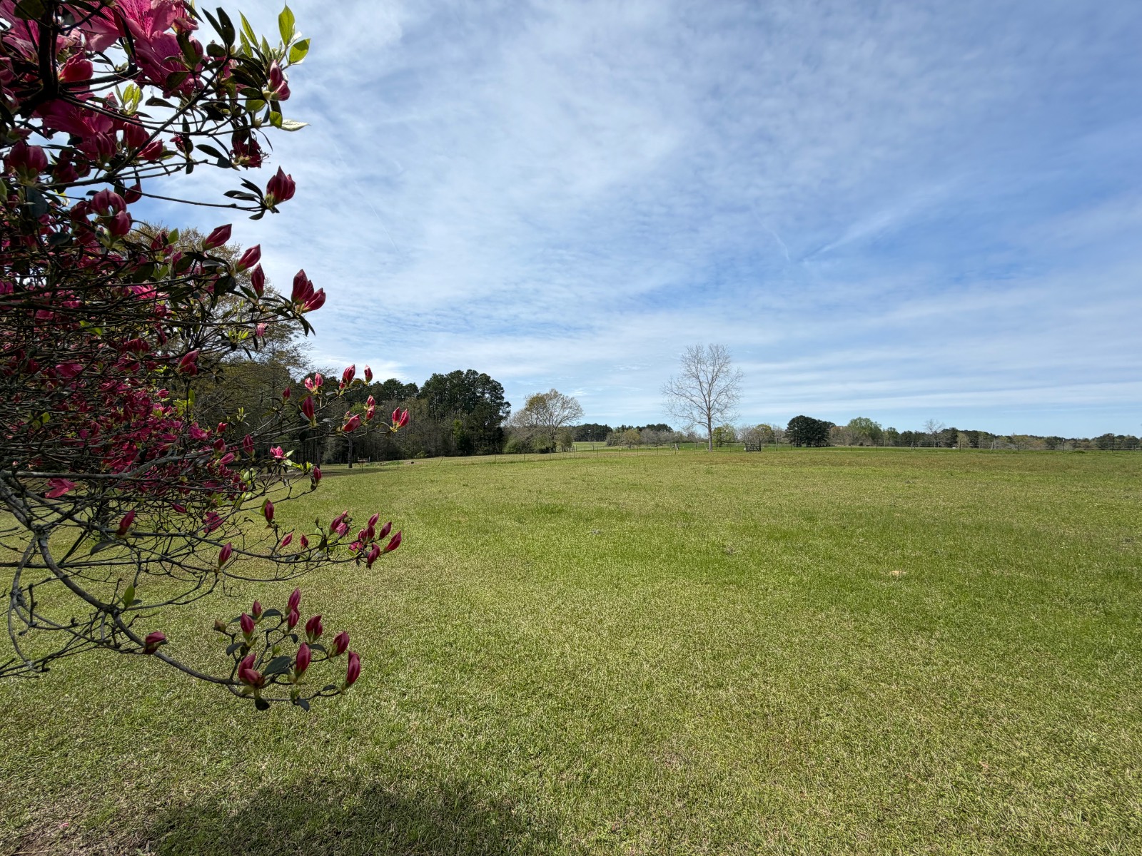 11648 County Road 1