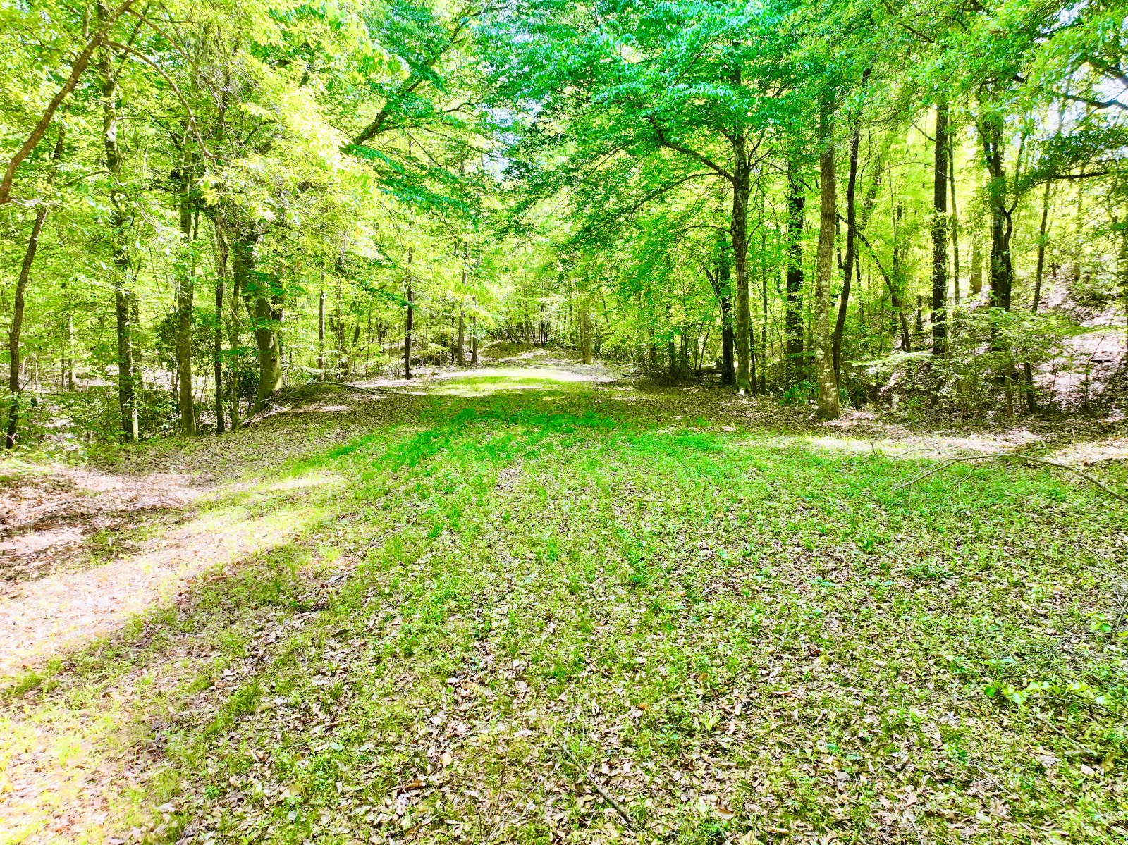 1418 Hebron Road