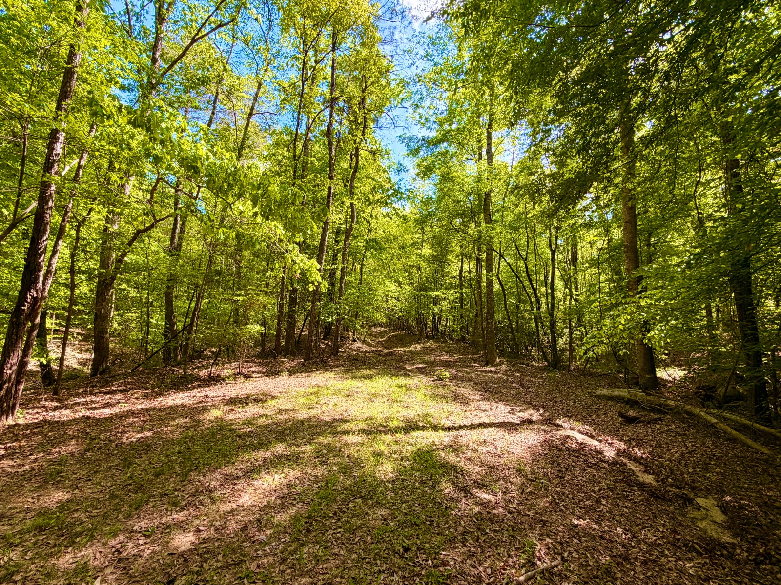 1418 Hebron Road