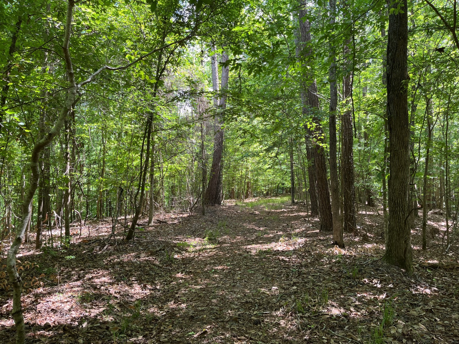 897 County Road 45