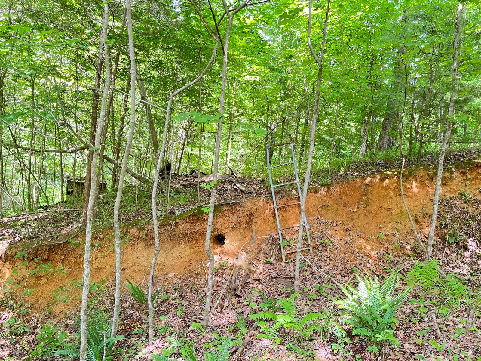 897 County Road 45