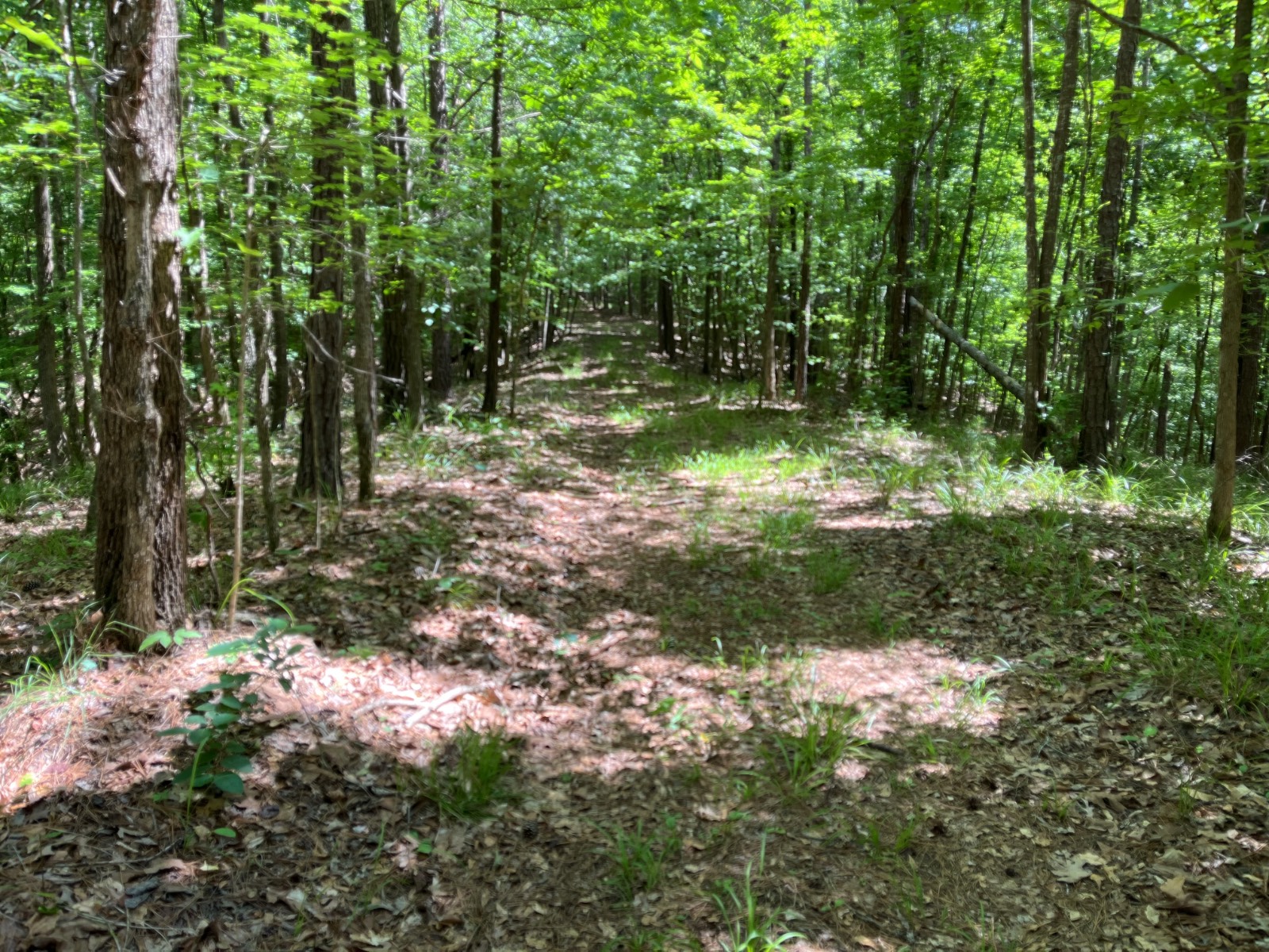 897 County Road 45