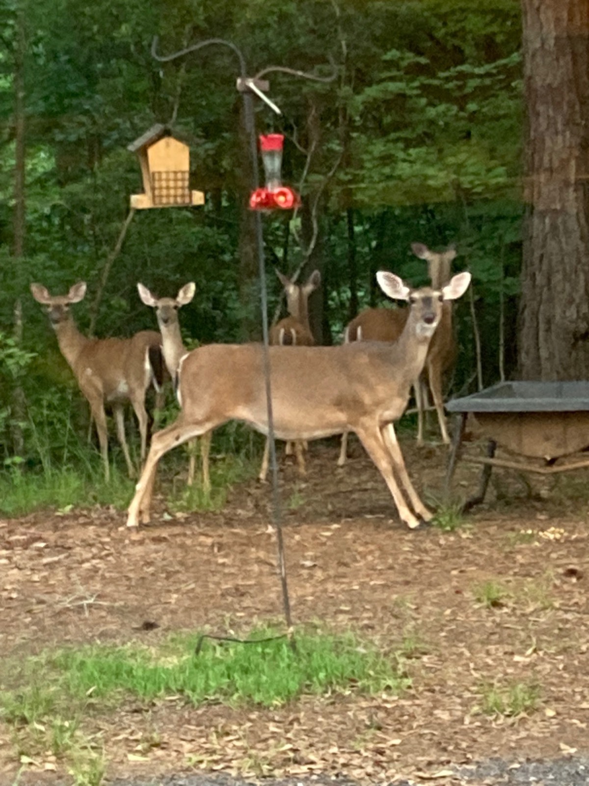 897 County Road 45