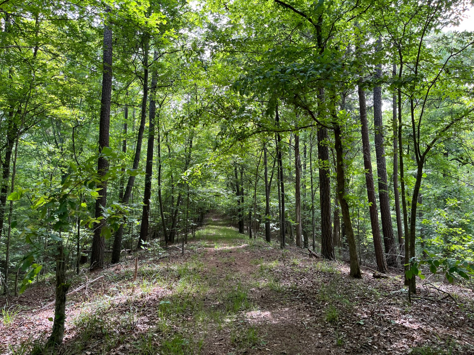 897 County Road 45