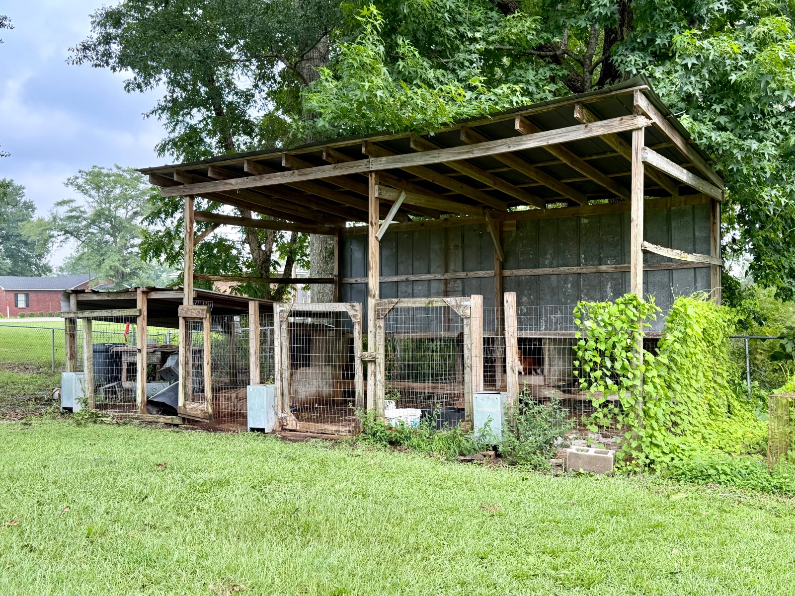 13207 County Road 1