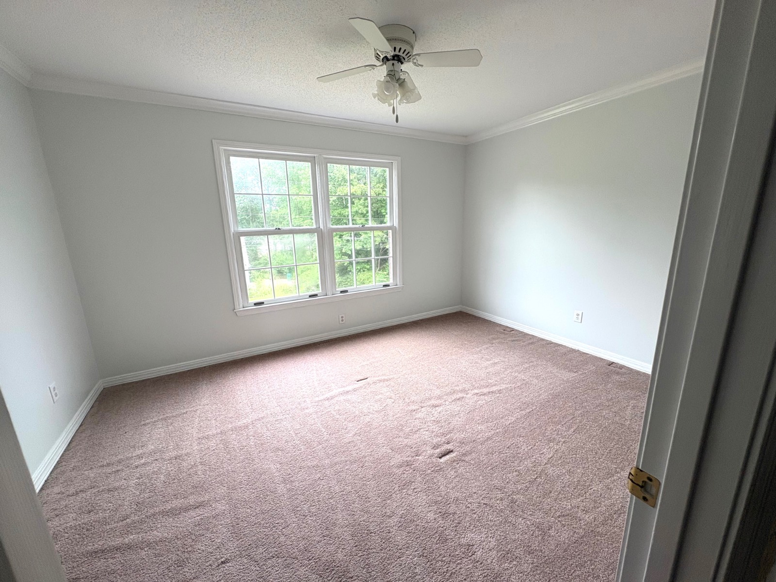 865 Alston Drive