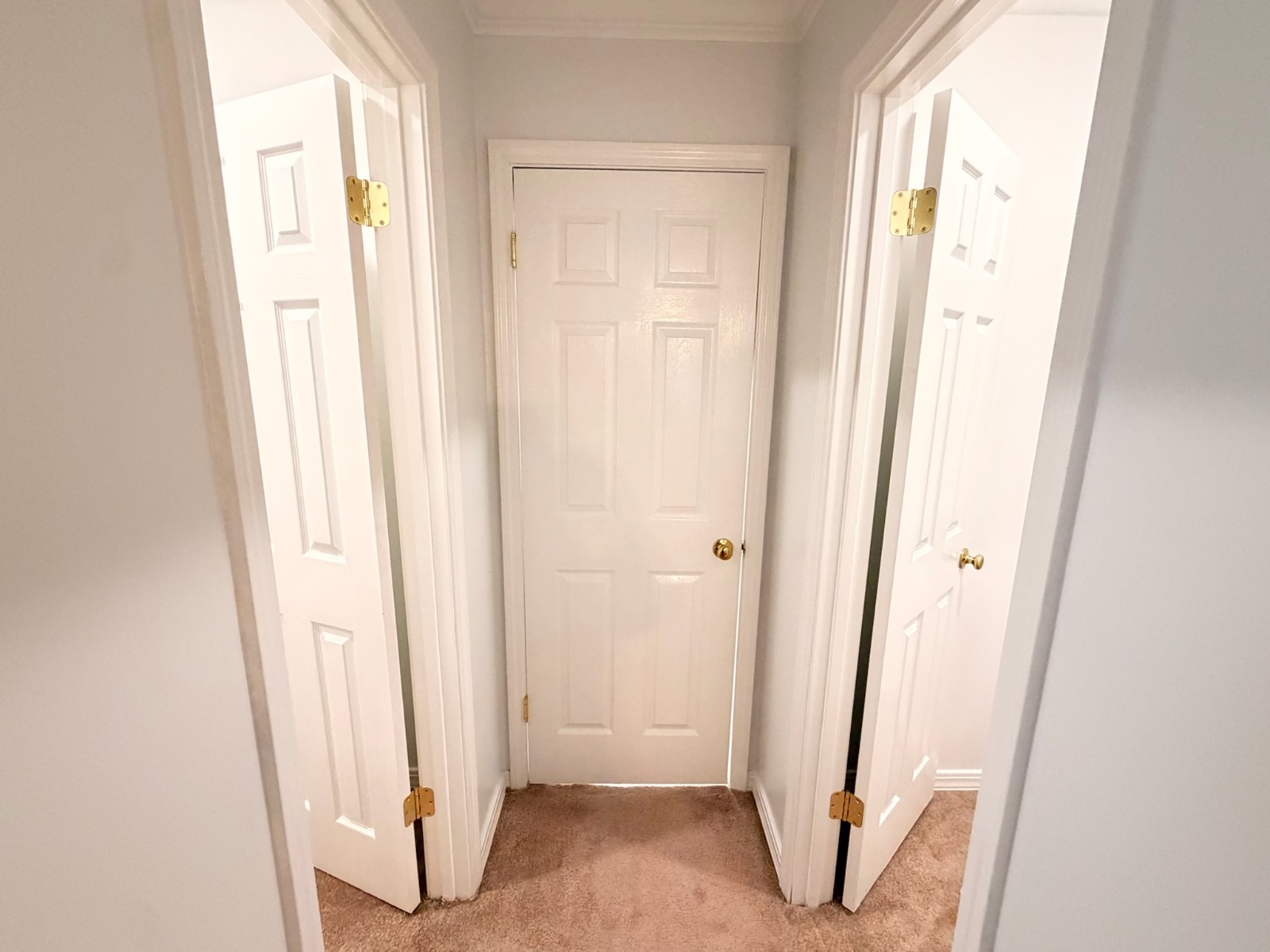 865 Alston Drive