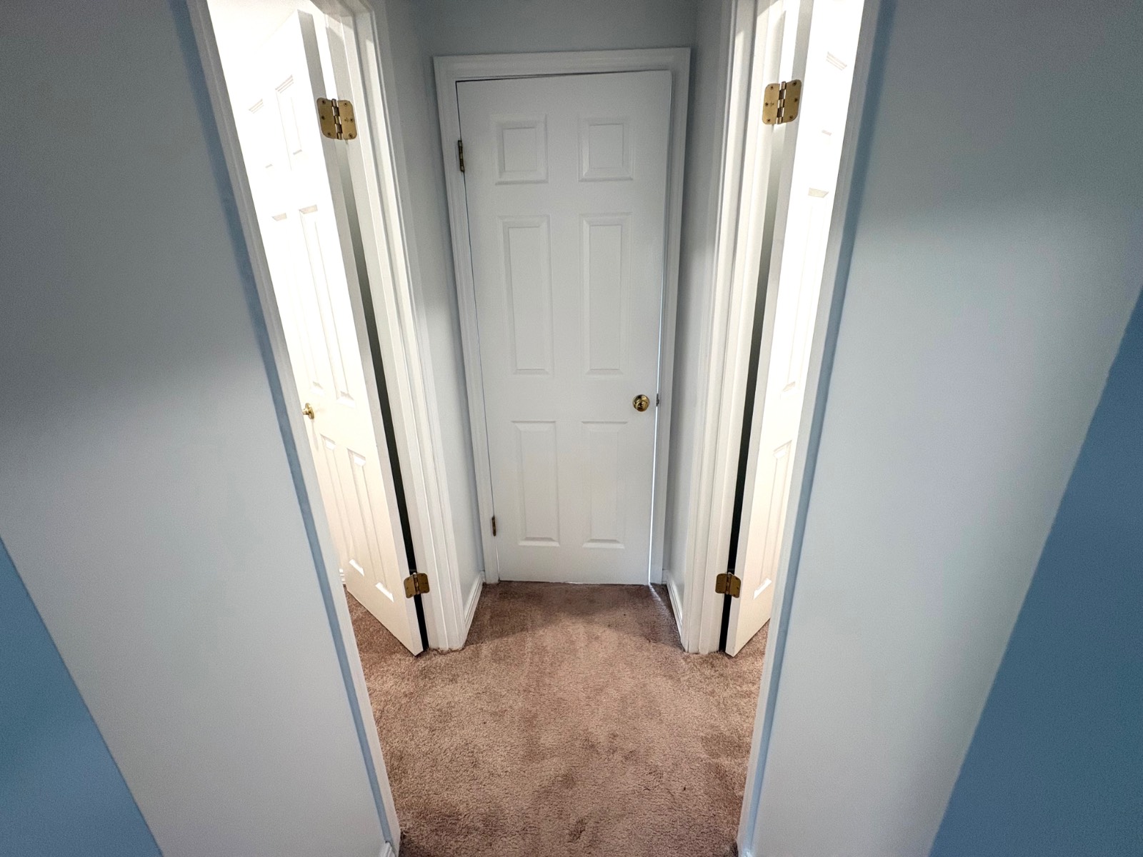 865 Alston Drive