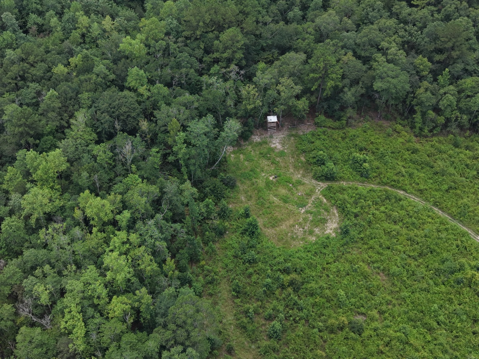 3151 Yellow Pine Road