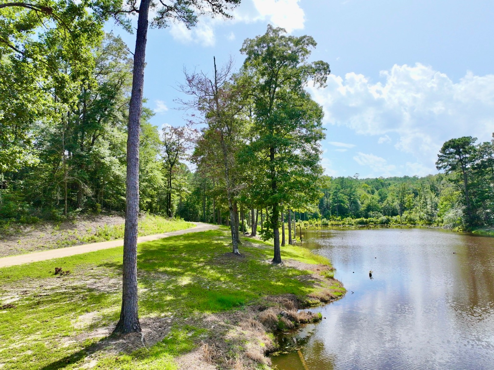 2248 Walker Springs Road