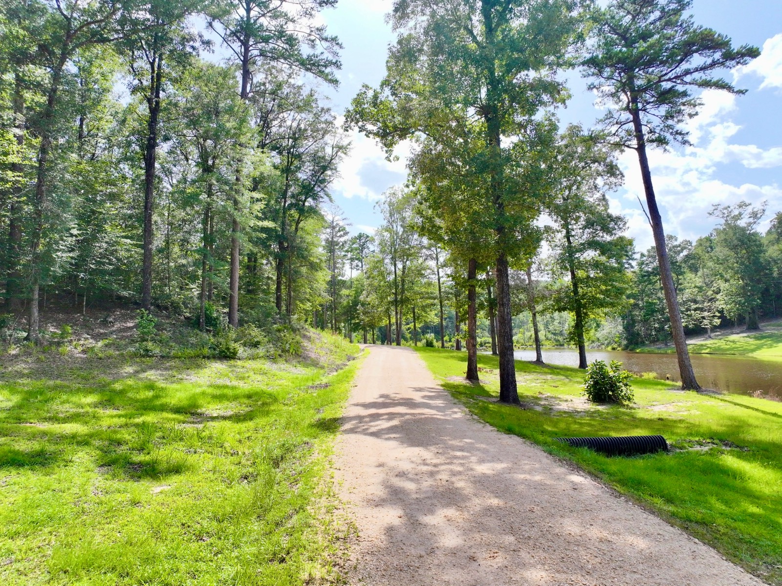 2248 Walker Springs Road