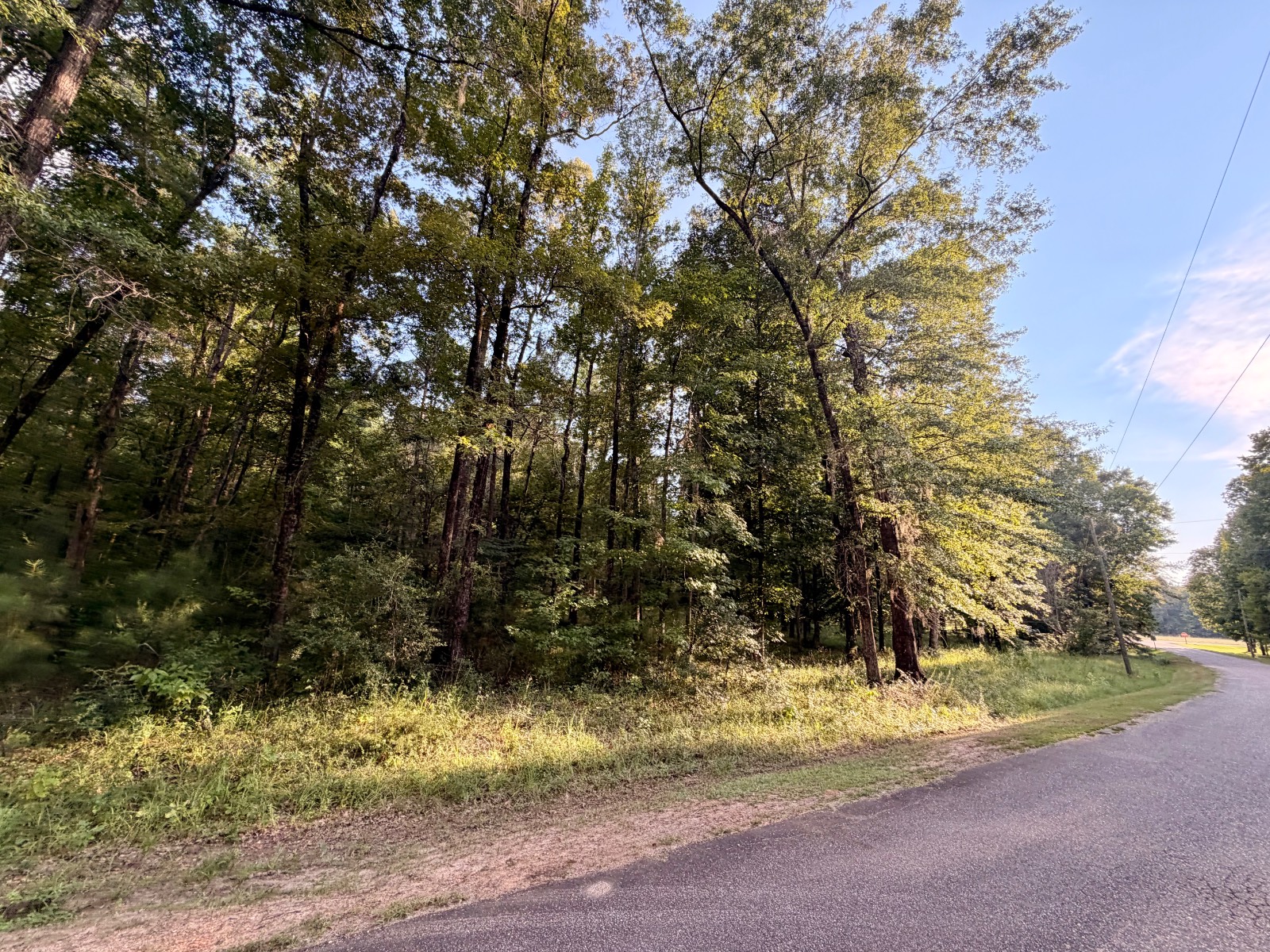 36 Shadow Creek, #36
