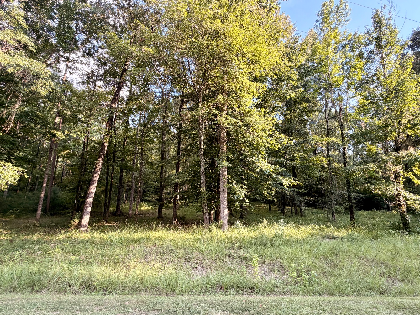36 Shadow Creek, #36