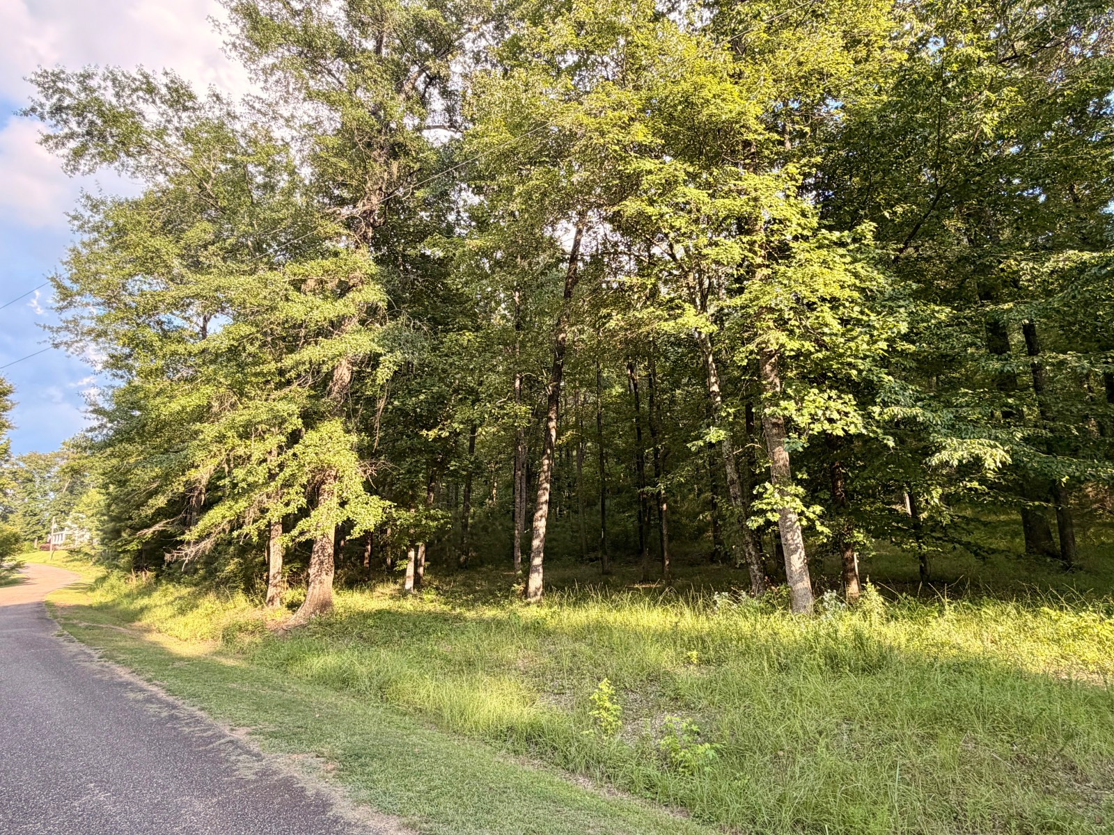 36 Shadow Creek, #36