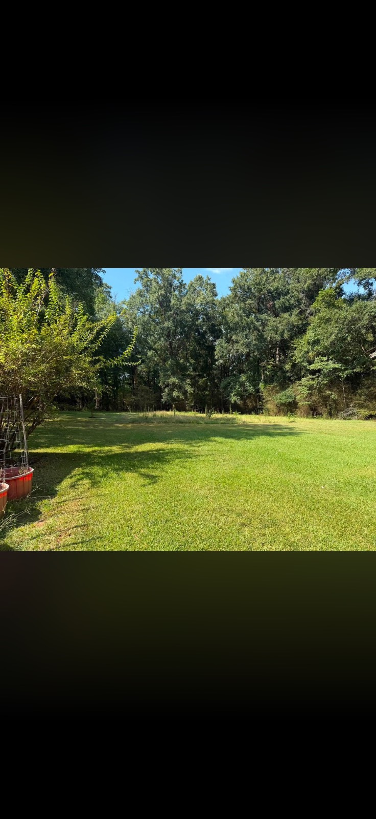 550 Hinson Dr