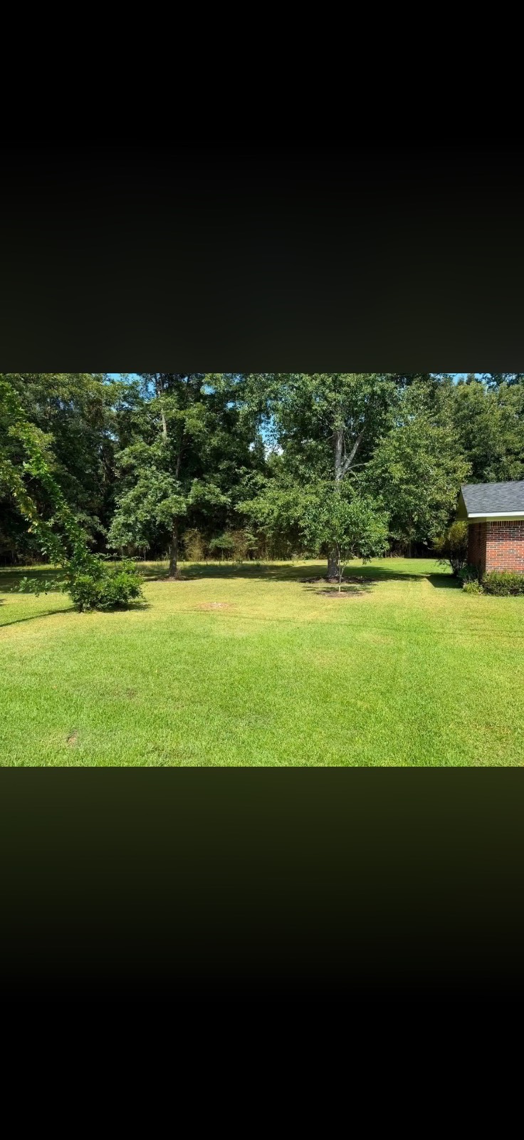 550 Hinson Dr