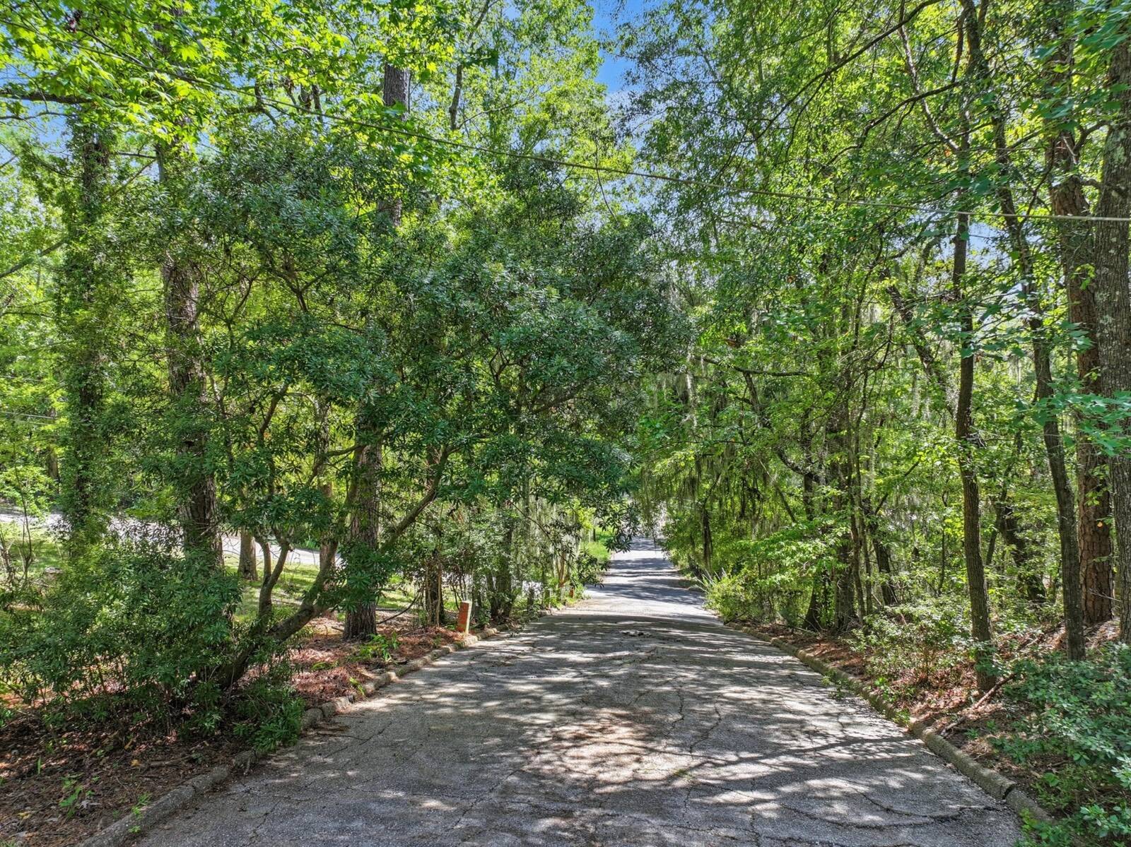 242 Wildwood Drive