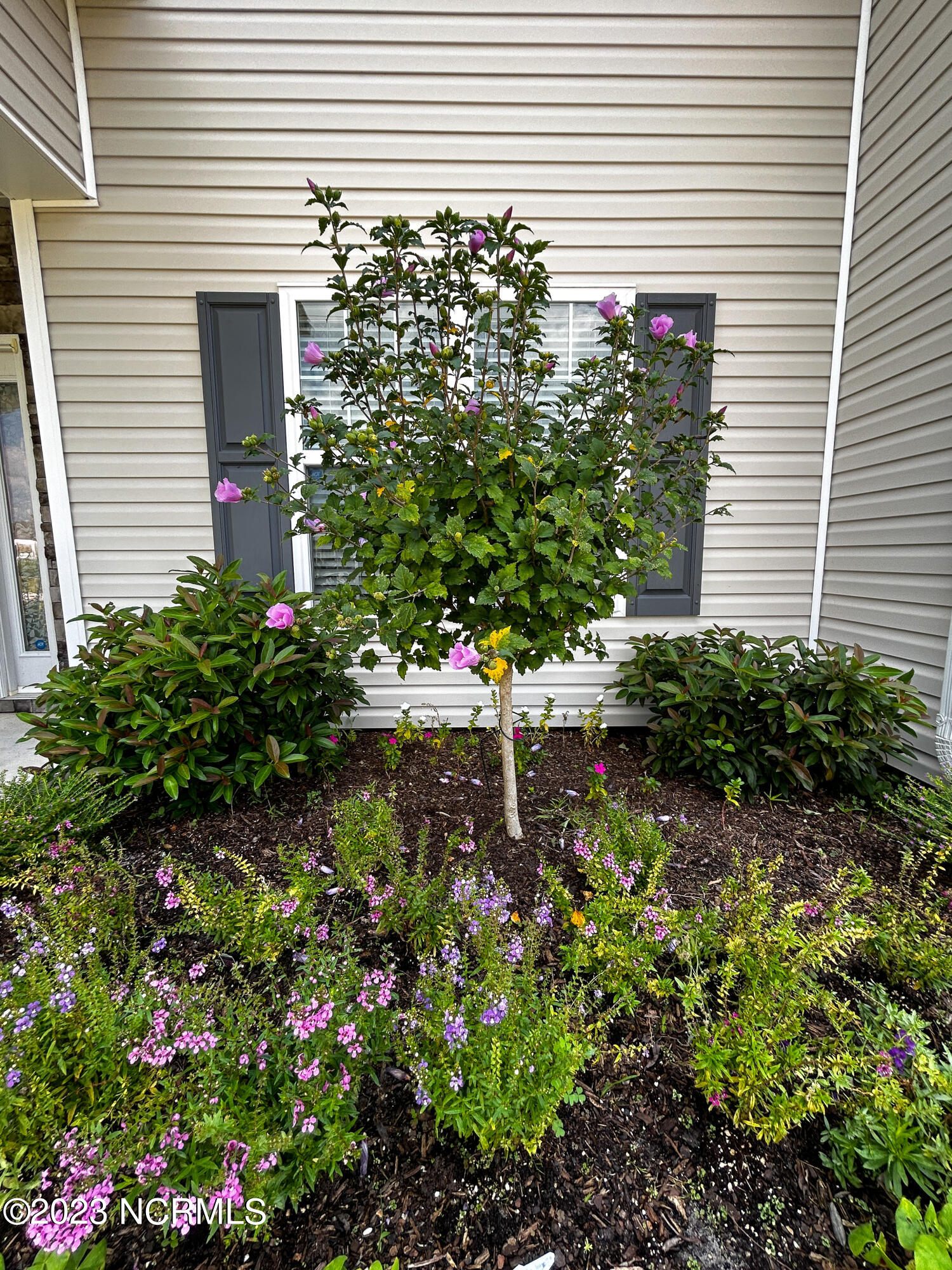 613 Cray Cove