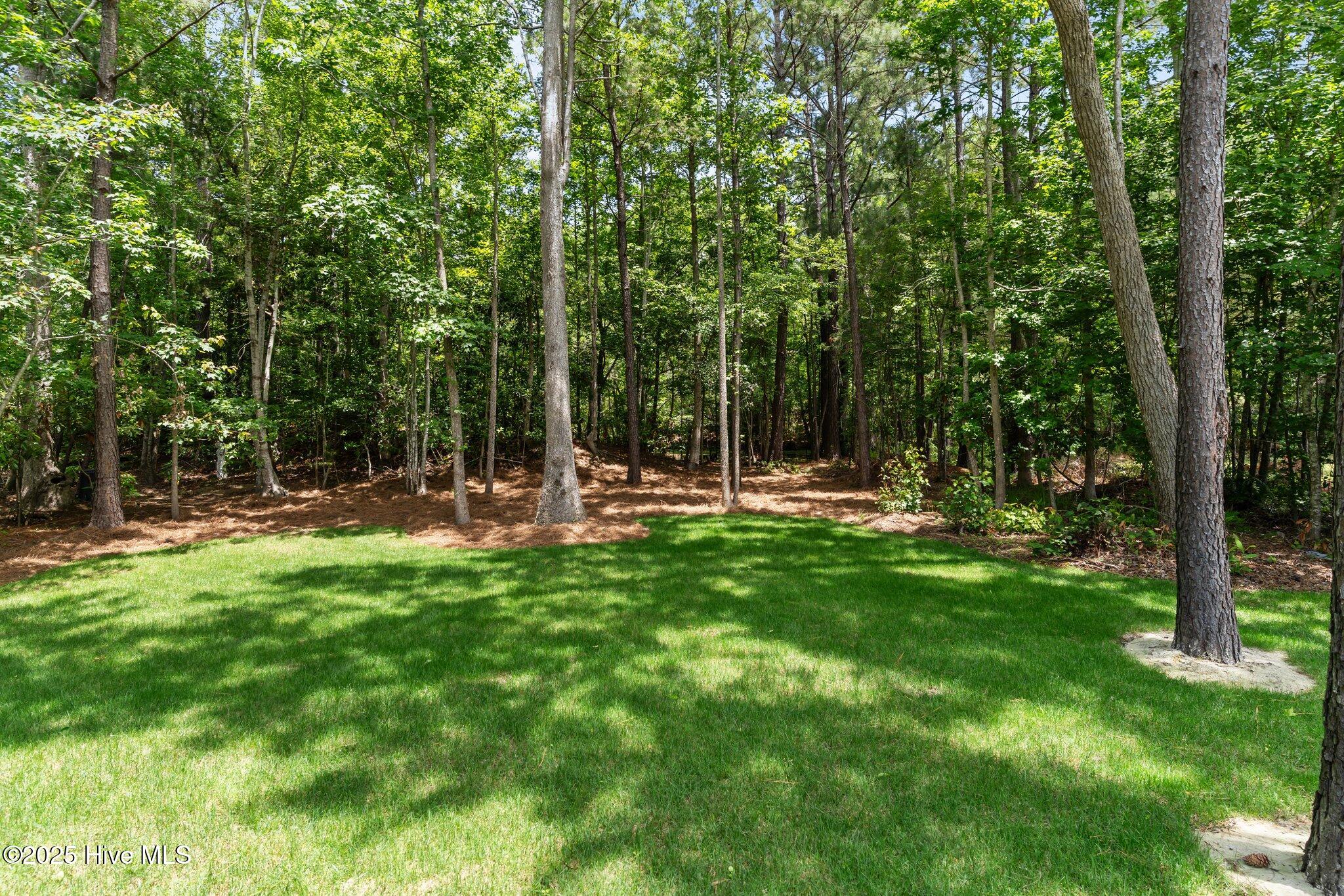 513 Belhaven Drive