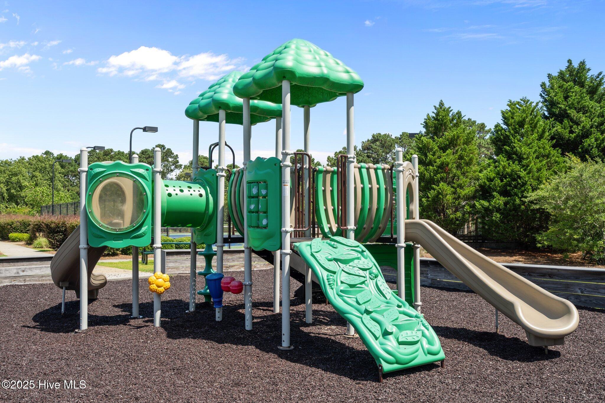 347 W Goldeneye Lane