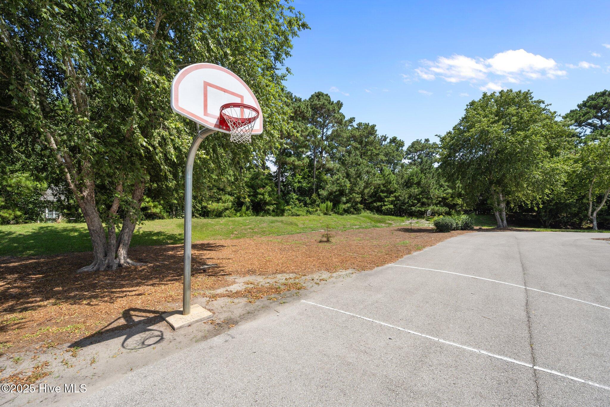 347 W Goldeneye Lane