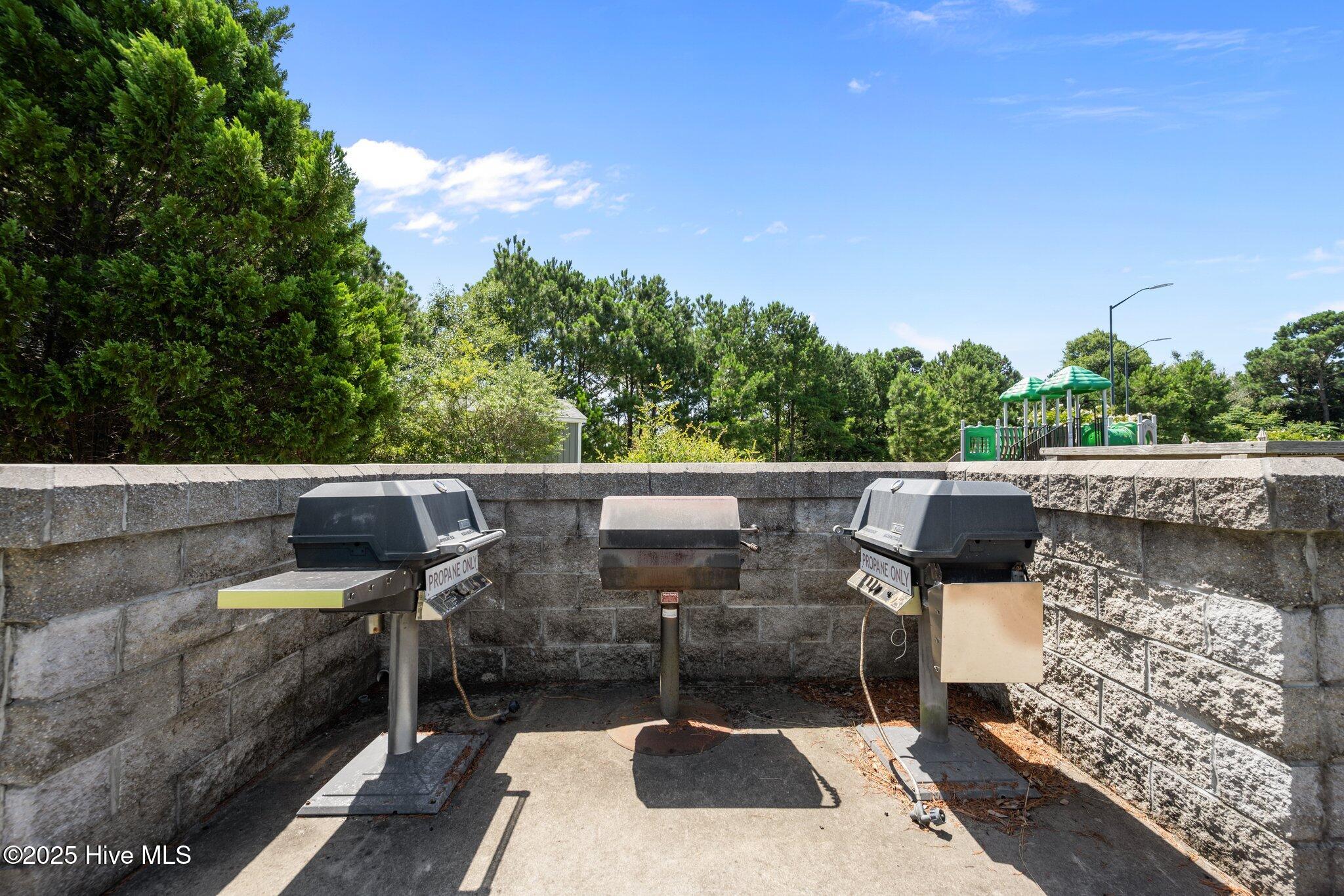 347 W Goldeneye Lane