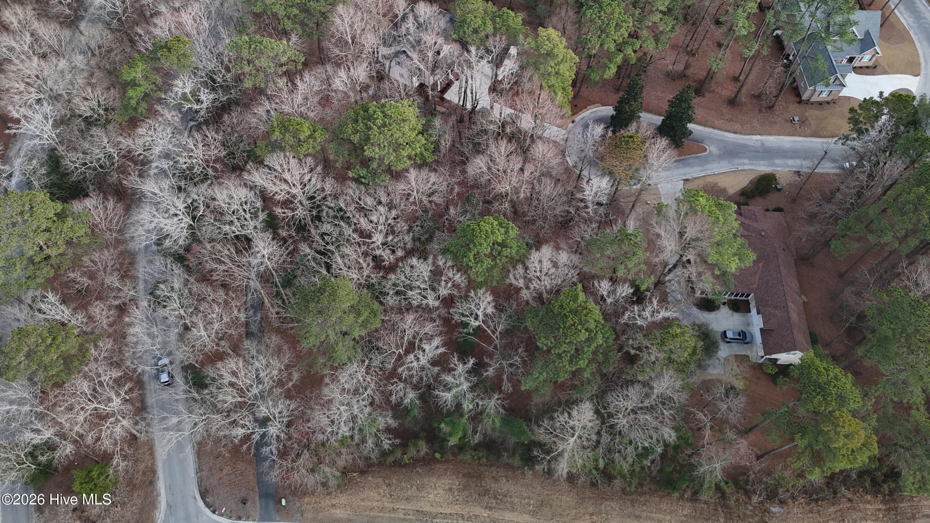 175 Southern Magnolia Lane