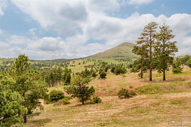 1414 Mountain Pines Road