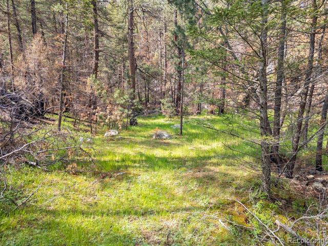 981 Cedar Creek Road