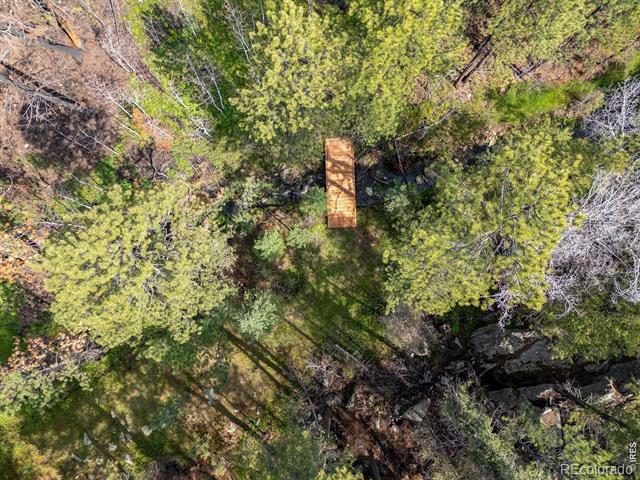 981 Cedar Creek Road
