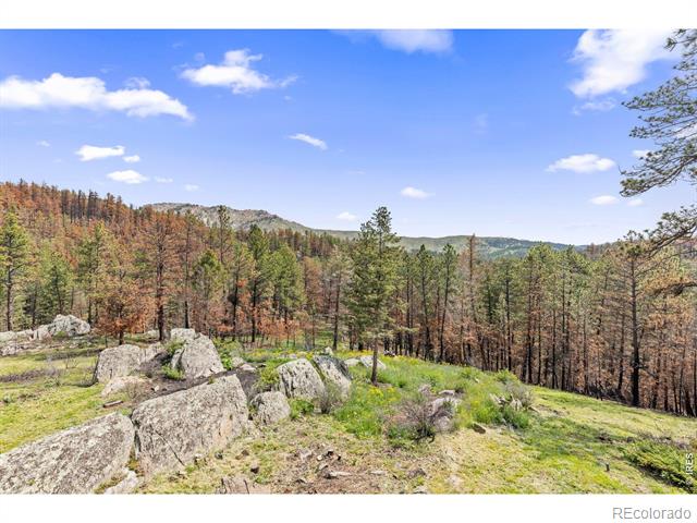 981 Cedar Creek Road